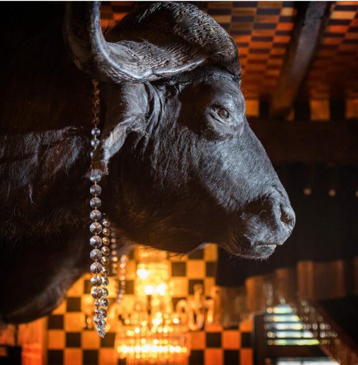 WIN A CRAZY BEAR HOTEL STAY WITH BREAKFAST & DINNER - Image 6