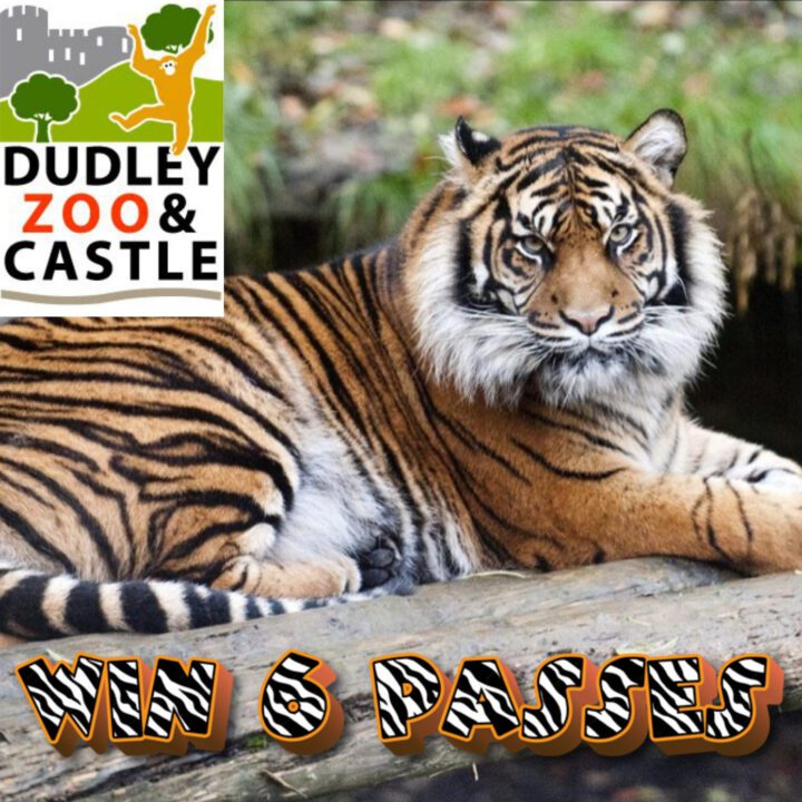 6 PASSES TO DUDLEY CASTLE & ZOO