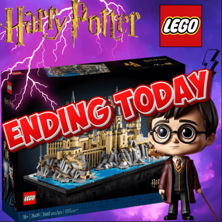 LEGO HARRY POTTER HOGWARTS CASTLE & GROUNDS ( 76419 )