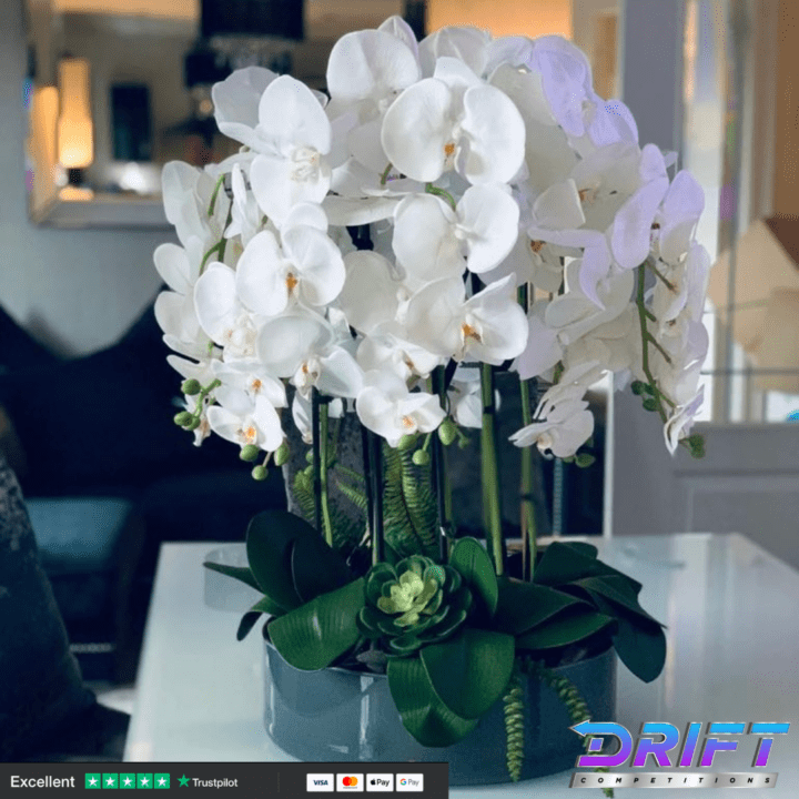 SILK ORCHID ARRANGEMENT EXTRA LARGE