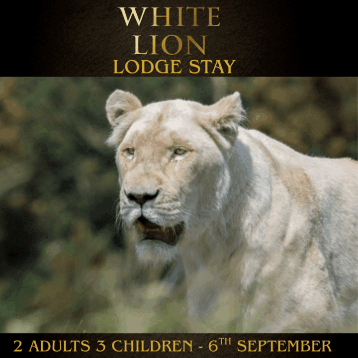 1 NIGHT WHITE LION LODGE STAY