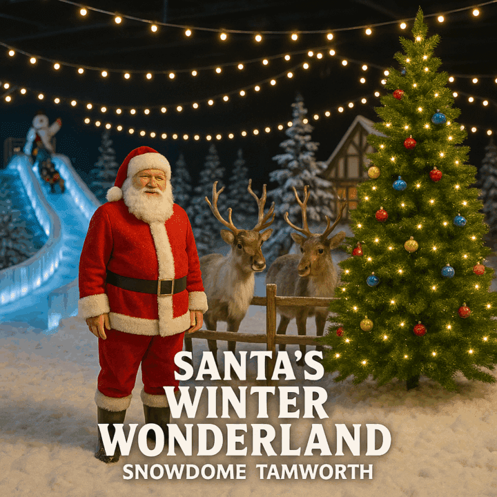 SNOWDOME SANTAS WINTER WONDERLAND